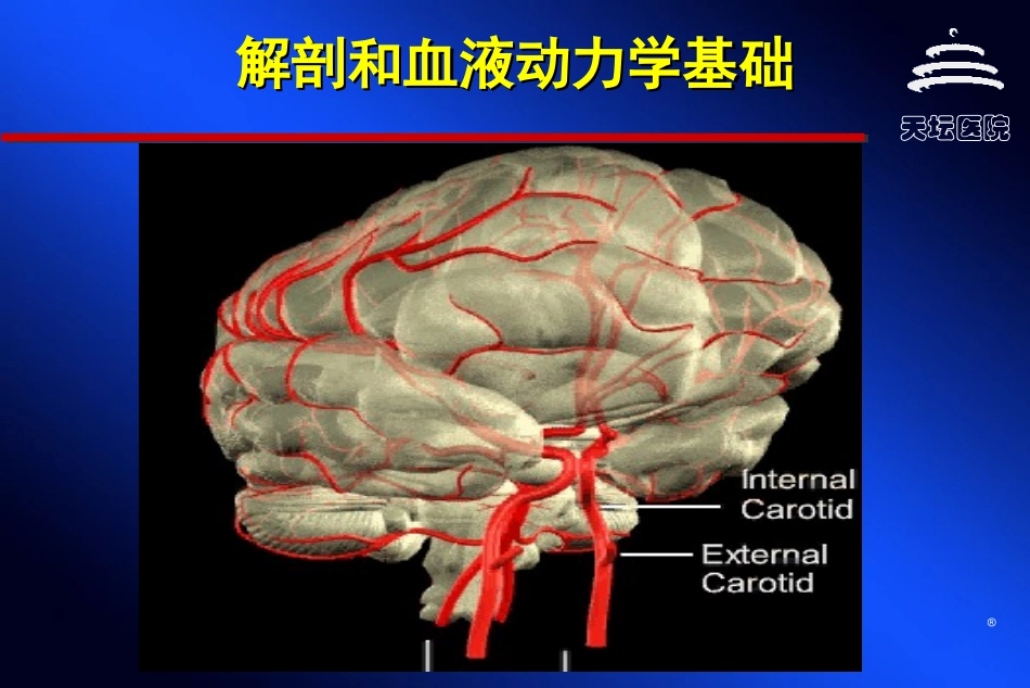 脑血管病与侧枝循环_第2页