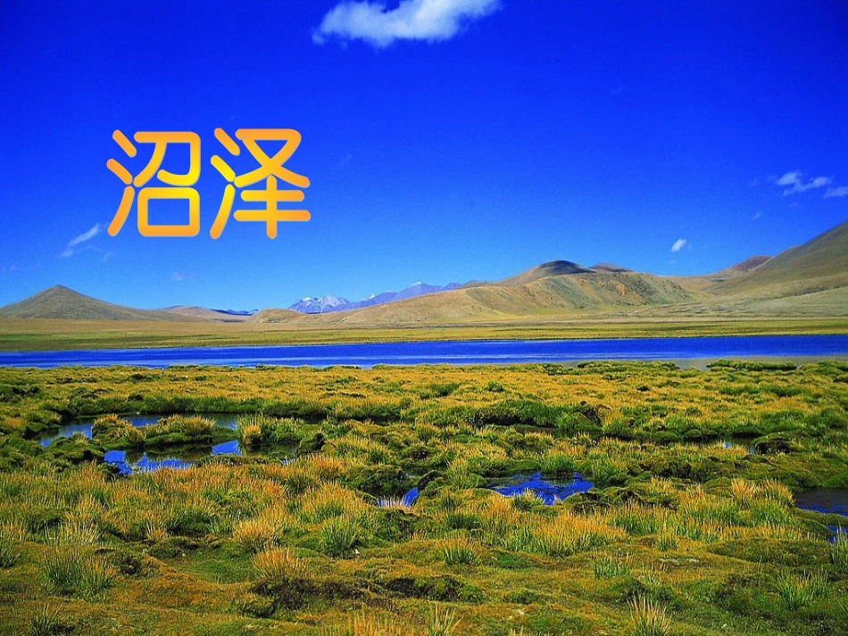 苏教版三年级语文下册20课《恐龙》课件(2)_第3页