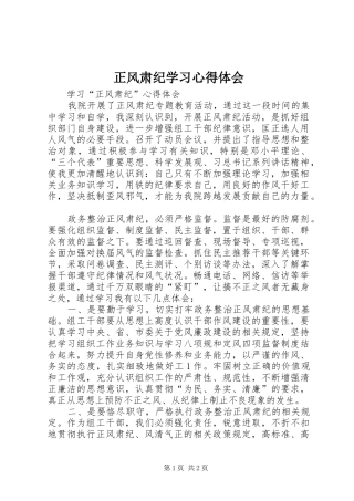 正风肃纪学习心得体会_1