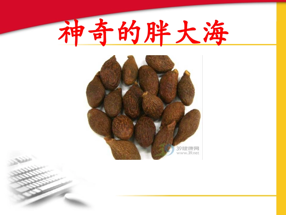 神奇的胖大海作文_第1页