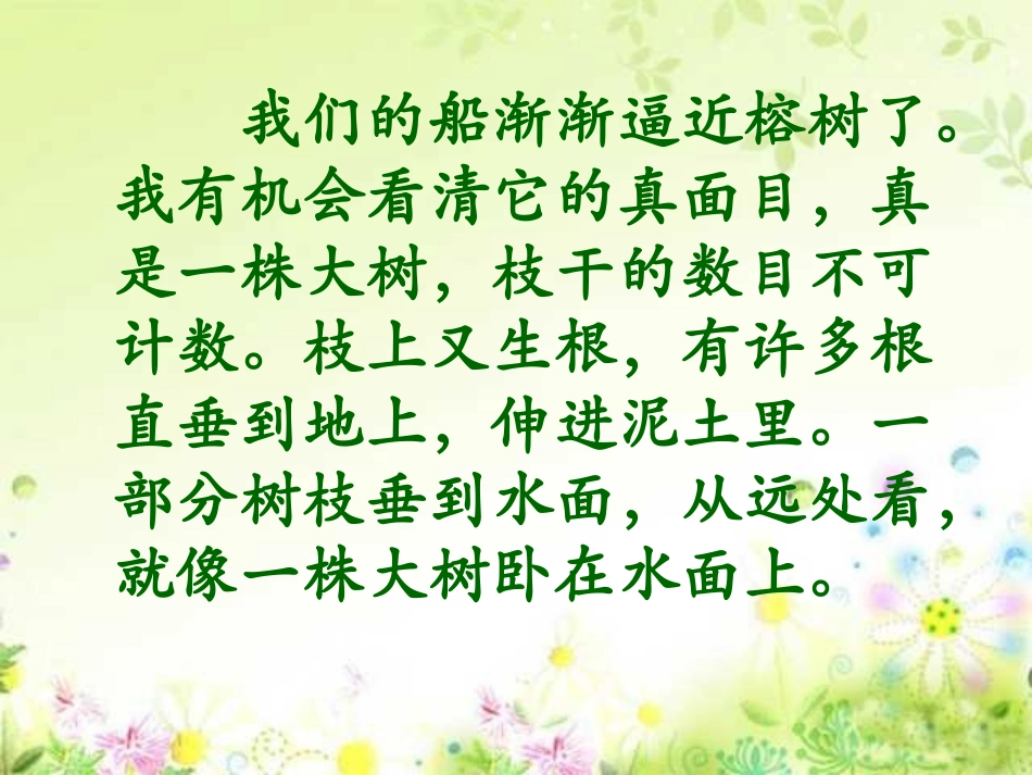 人教版四年级语文上册第3课《鸟的天堂》PPT课件_第3页