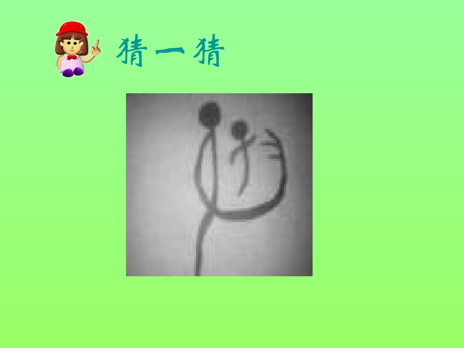 人教版二年级语文上册识字七课件_第1页