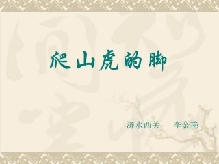 《爬山虎的脚》