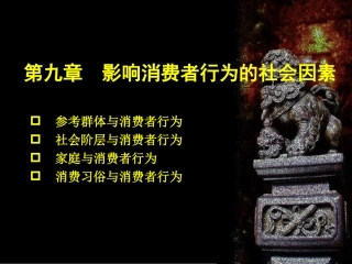 第九章  影响消费者行为的社会因素