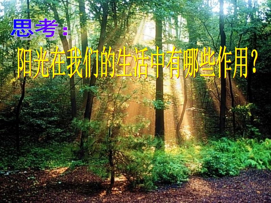 人教一年级语文8阳光课件_第3页