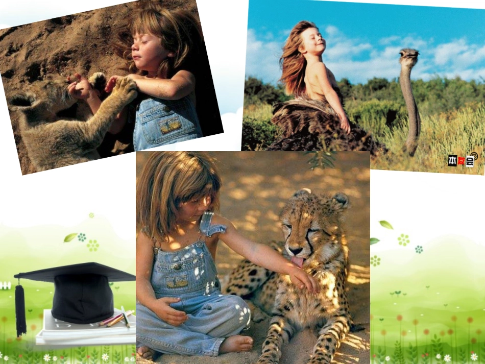 别让动物伤着你_第3页