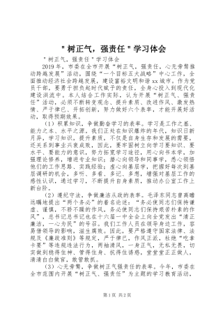 ＂树正气，强责任＂学习体会