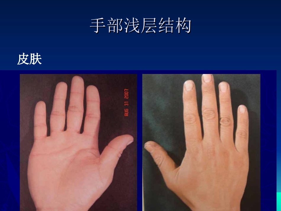 手外伤的急诊处理_第3页