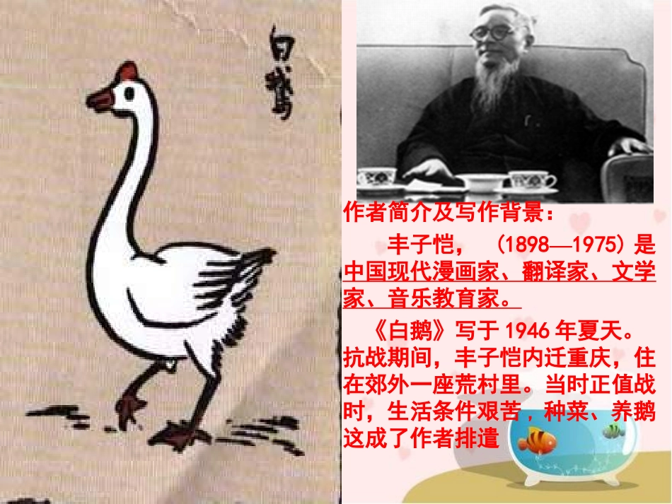 《白鹅》教学演示课件[1]_第2页