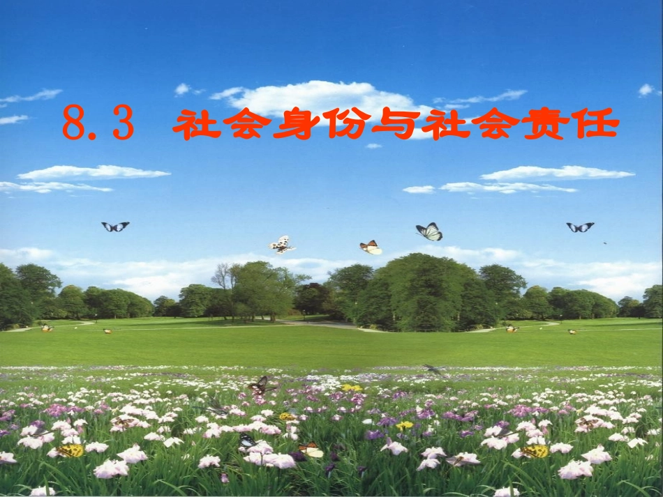 社会身份与社会责任_第1页