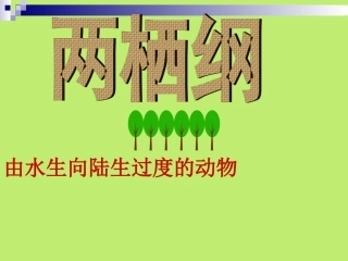 第八章    两栖纲