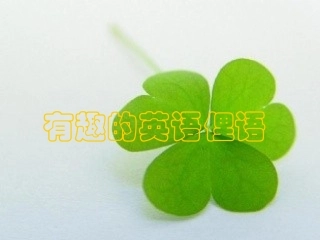 简单有趣的英语俚语