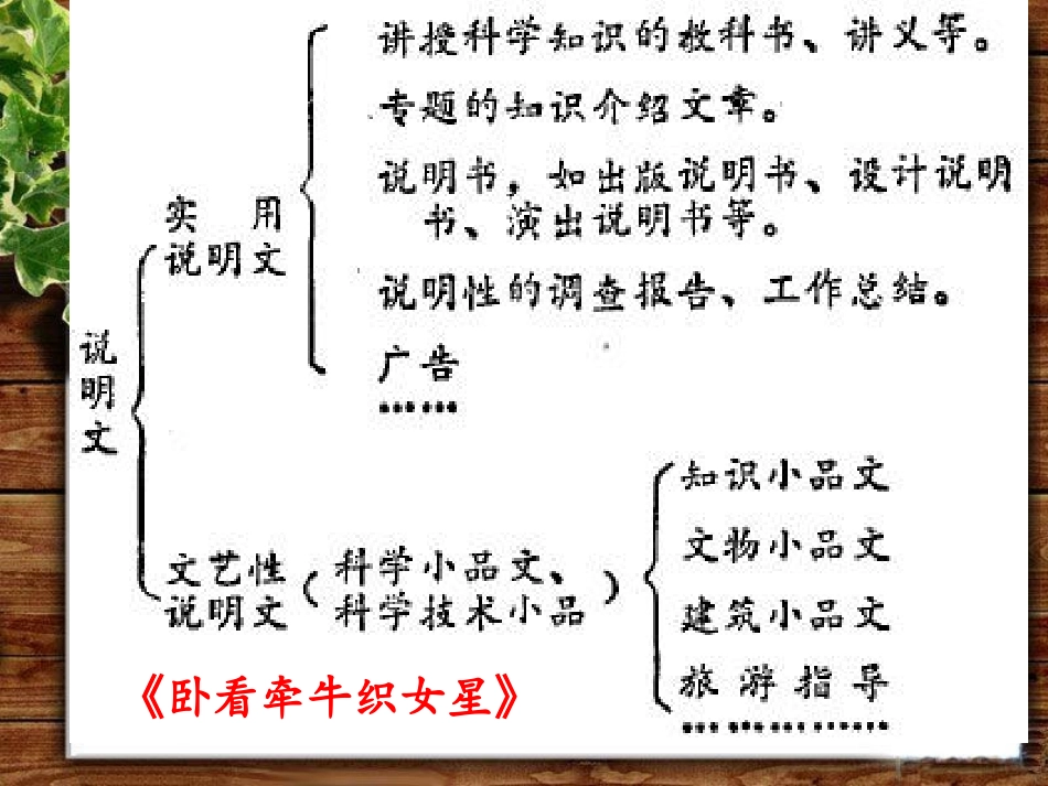 说明文朗读要领_第3页