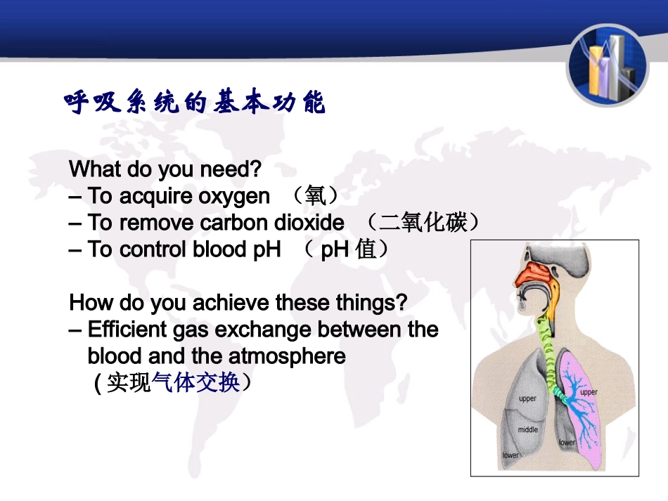 呼吸系统疾病的病理生理学_第2页
