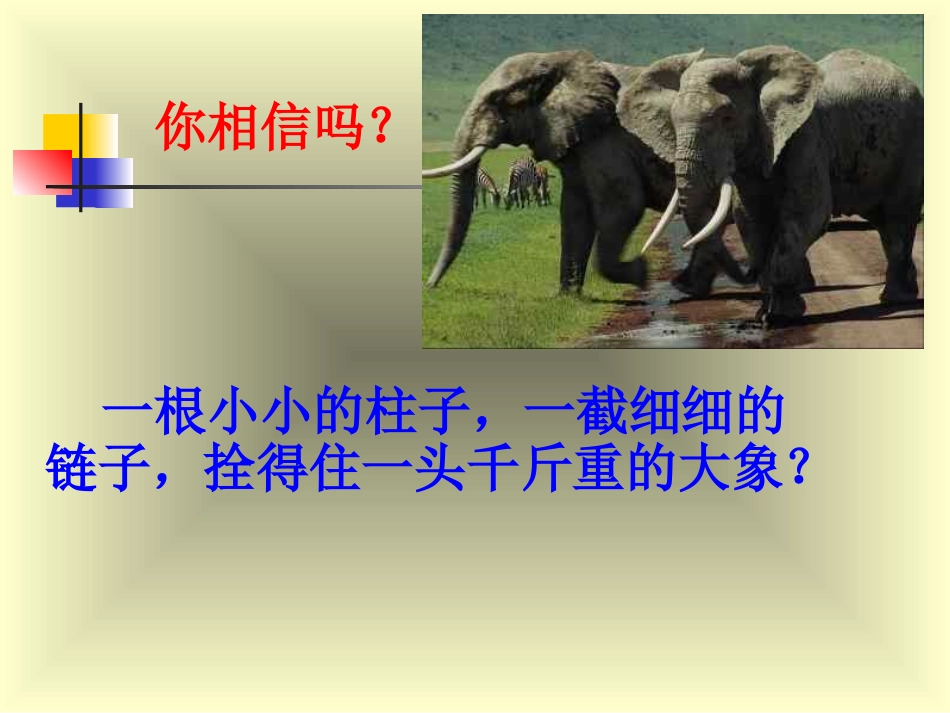 良好习惯的养成——主题班会课件_第3页