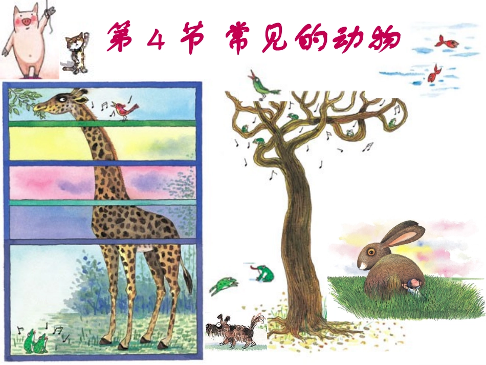 常见的动物3_第1页