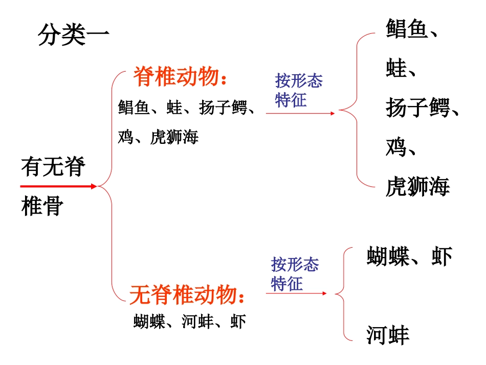 常见的动物3_第3页