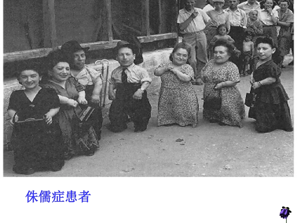 第一节人体的激素调节_第2页