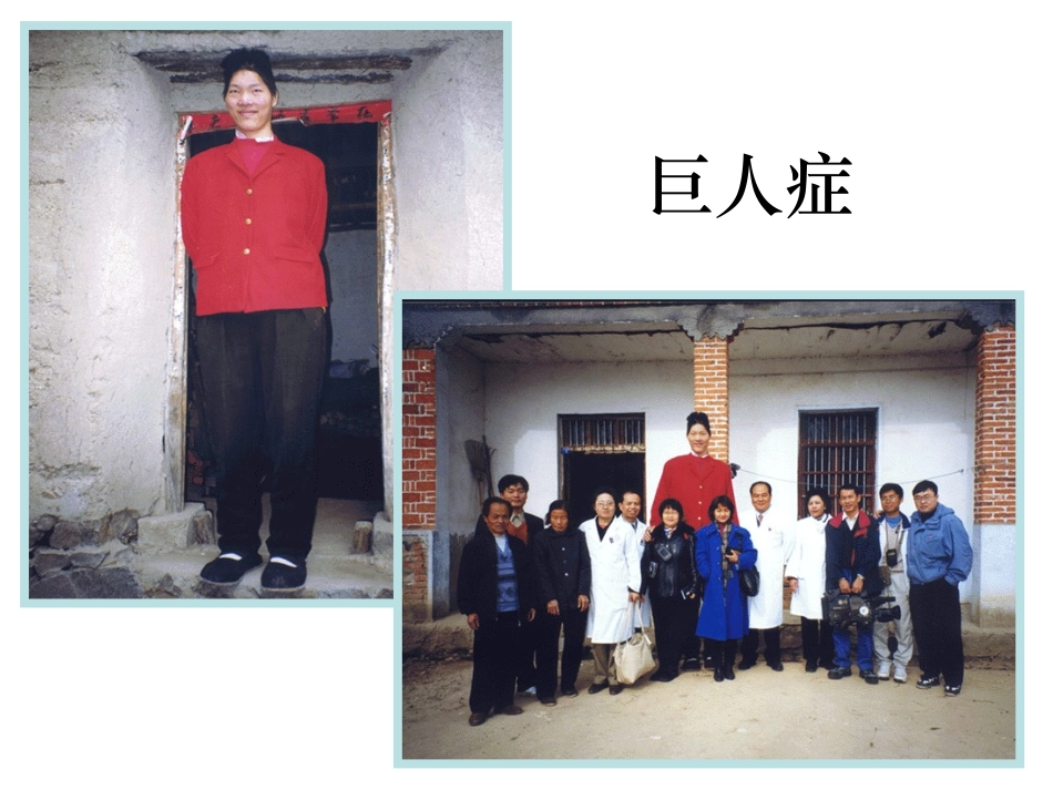 第一节人体的激素调节_第3页