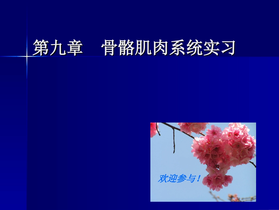 实习1---骨与关节正常表现_第1页
