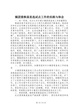 镇团委换届直选试点工作的实践与体会