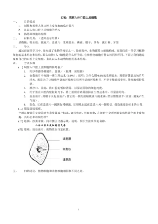 观察人体口腔上皮细胞