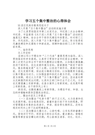 学习五个集中整治的心得体会
