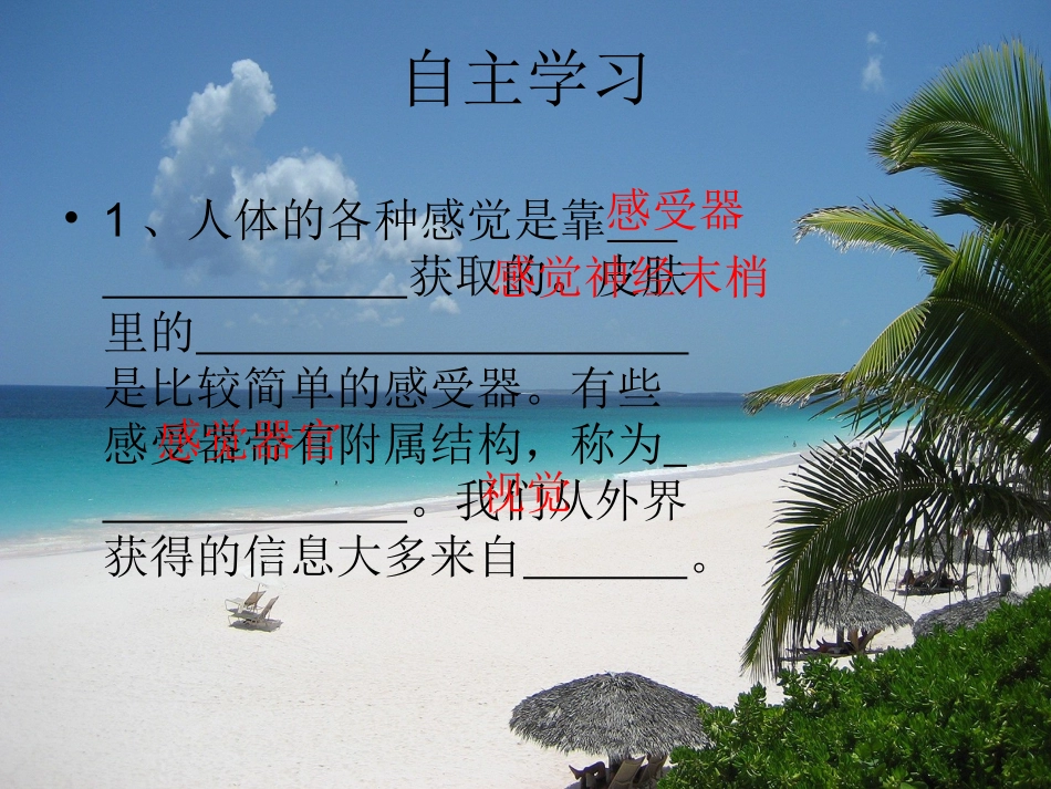 第1节__人体对外界环境的感知_第3页