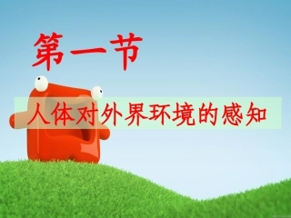 第1节__人体对外界环境的感知