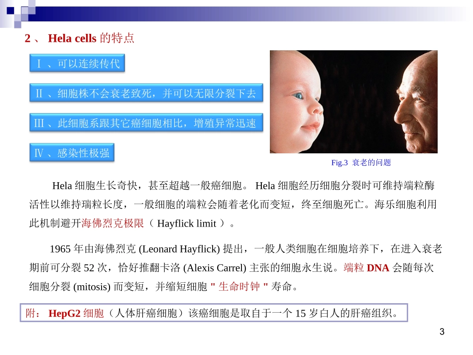Hela细胞的研究及对癌症研究的贡献_第3页