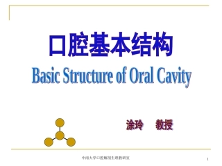 口腔基本结构