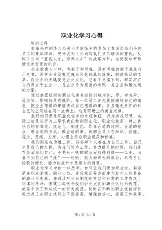 职业化学习心得