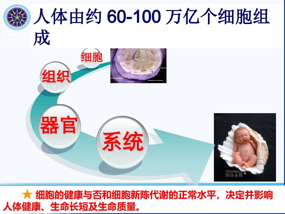 【顺势细胞食物六高版本】讲稿修订版_第2页