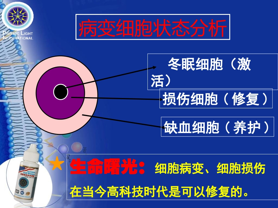 【顺势细胞食物六高版本】讲稿修订版_第3页