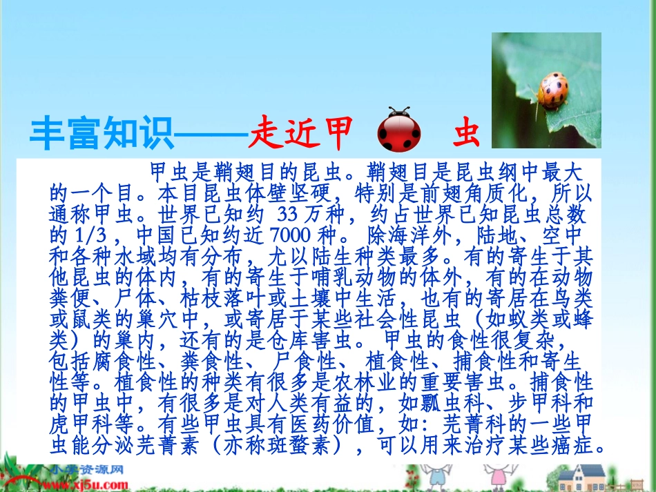 草虫的村落课件_第3页