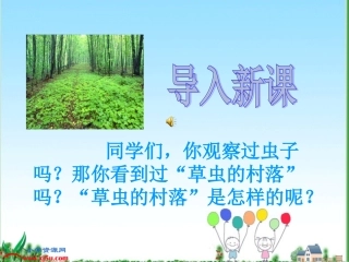 草虫的村落课件