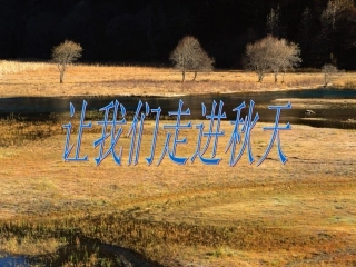 讲课____故都的秋(新人教版)