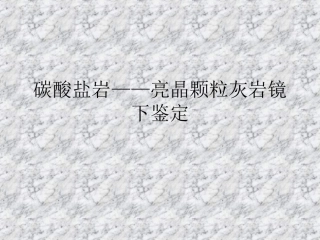 碳酸盐岩——灰岩