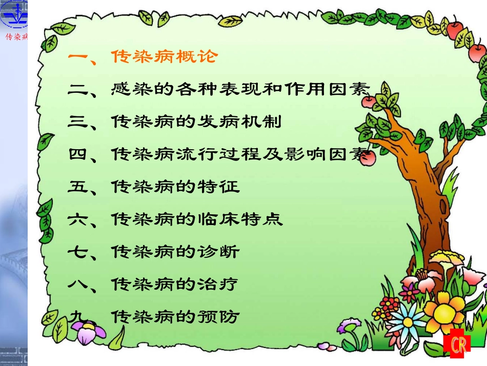 总论07.6.1_第3页
