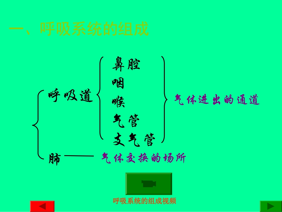 人体与外界的气体交换-济南板2012.2.26_第2页