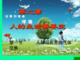 人体与外界的气体交换-济南板2012.2.26