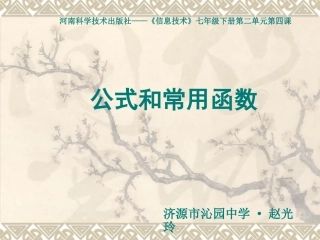 公式和常用函数课件