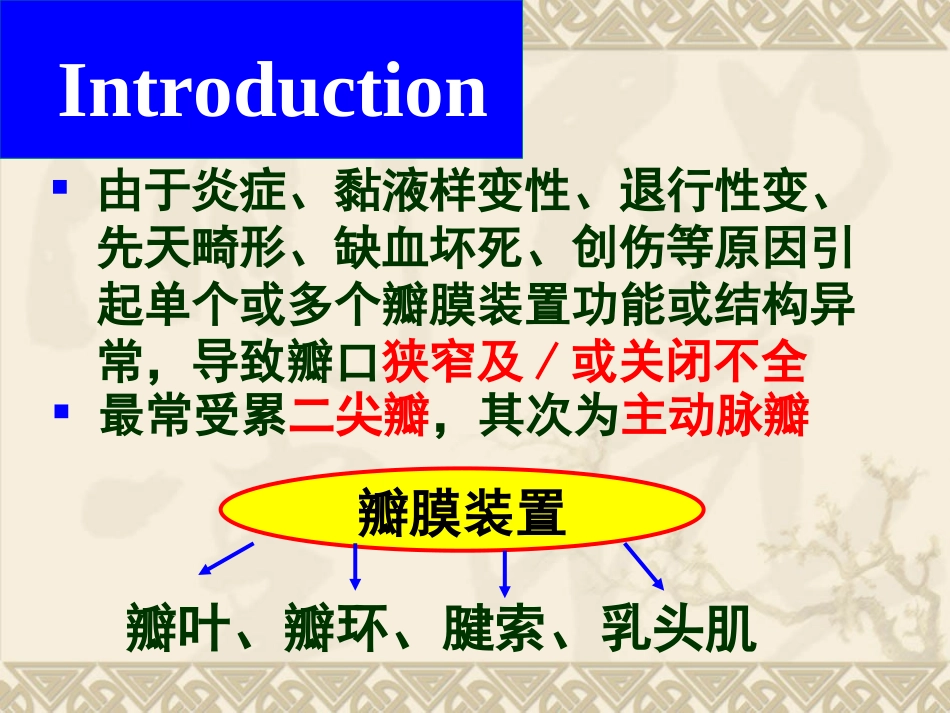 瓣膜性心脏病_第2页