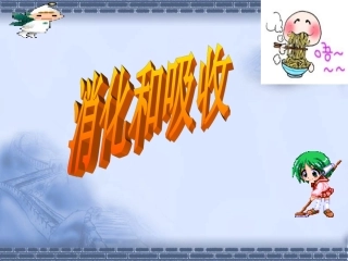 消化和吸收课件1