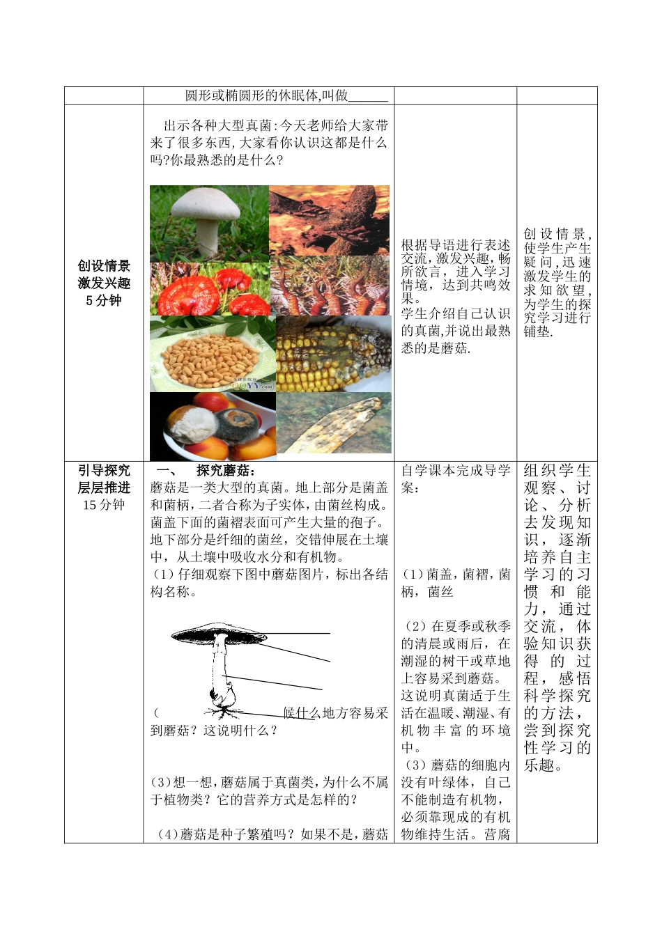 第三章第三节 真菌_第2页
