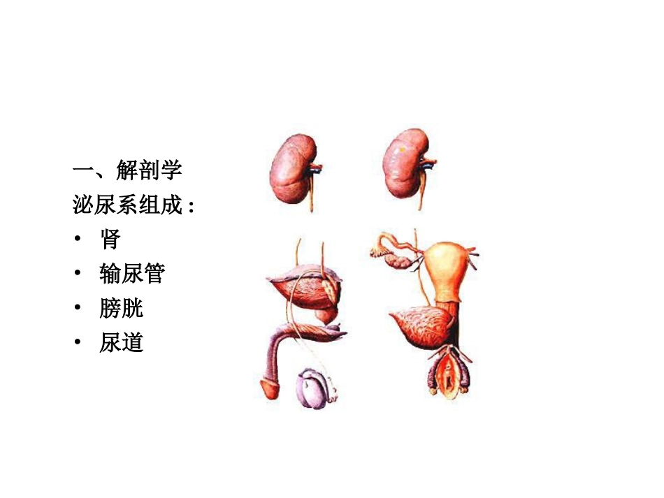 浆膜腔积液脱落细胞学检查(2010)_第3页