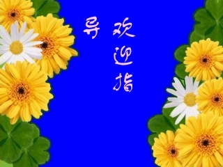 如果人类也有尾巴 (2)