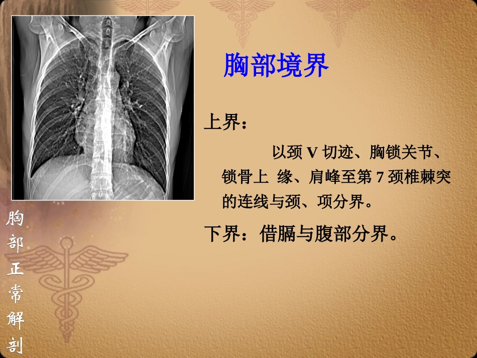 胸部正常CT-MRI原版挺好的_第3页
