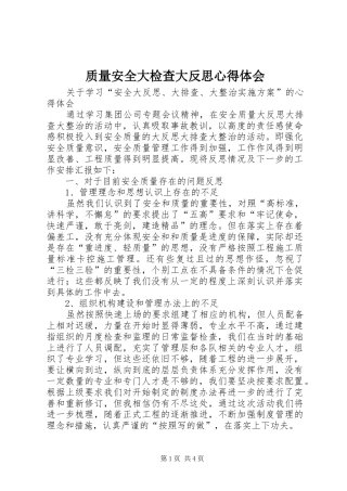 质量安全大检查大反思心得体会
