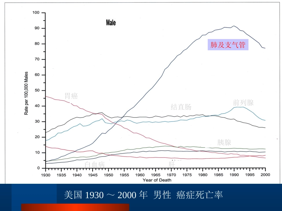 肺癌(本科)2_第2页